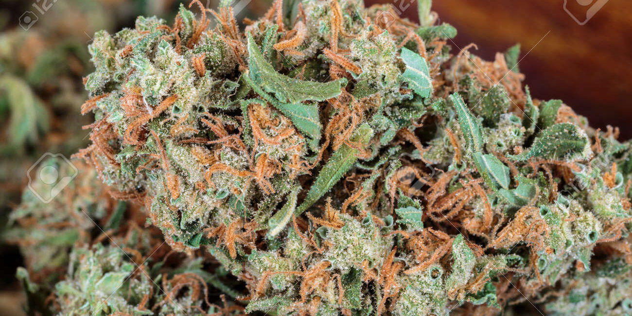 78623712-marijuana-buds-high-resolution