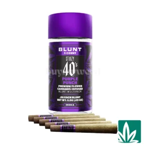 Stiiizy .5G 40’s Infused Mini Blunts 5 Pack (2.5g) – Purple Punch