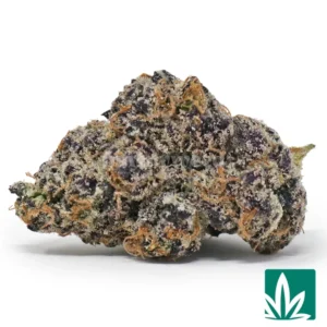 Exotic Lemon Cherry Gelato