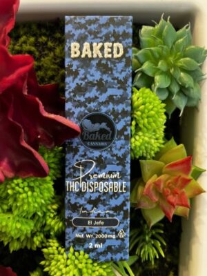 BAKED- Premium THC Oil 2g