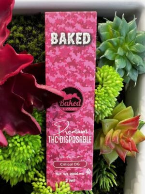 BAKED- Premium THC Oil 2g