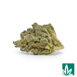 Lemon Cherry Gelato ‘Smalls’