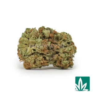 Wedding Crasher ‘Smalls’