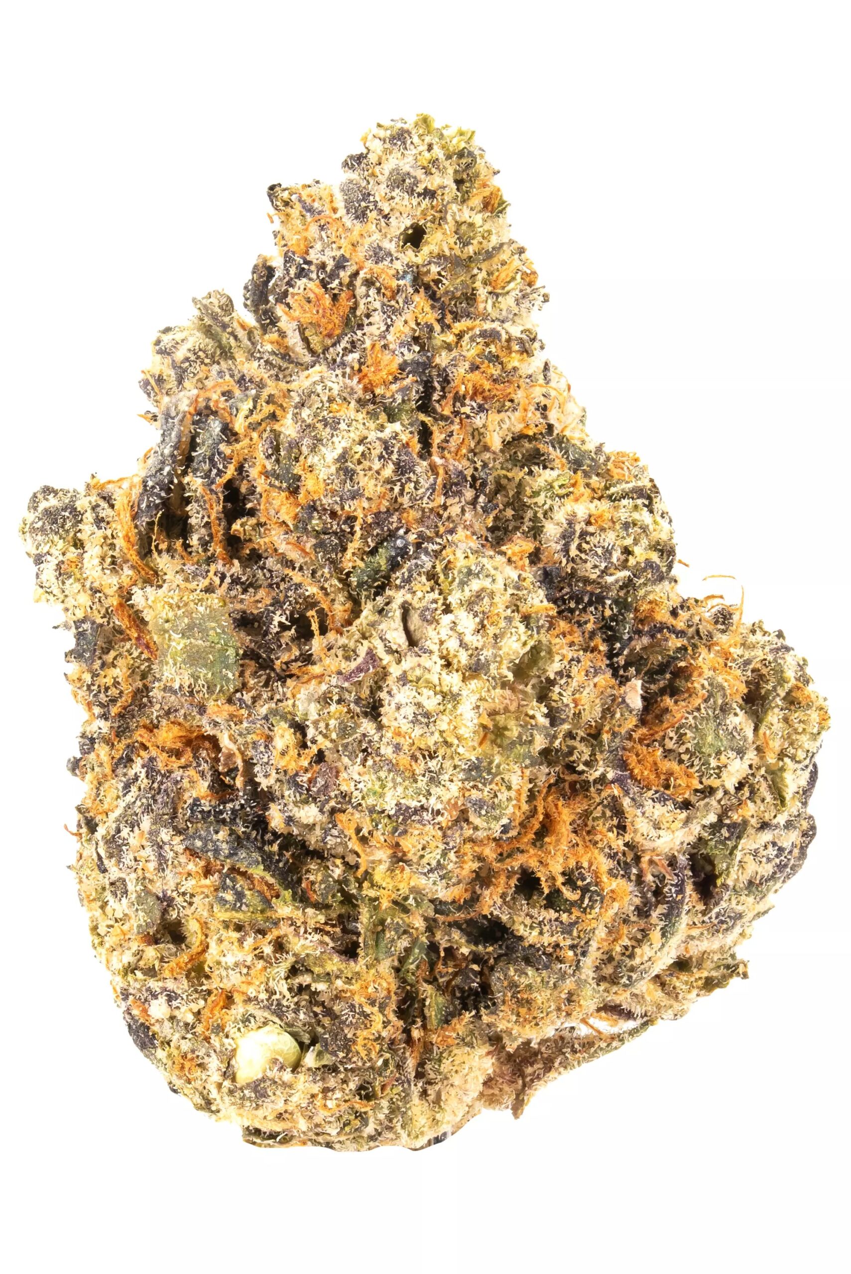 Tea Party Strain