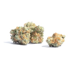Kabosu Strain