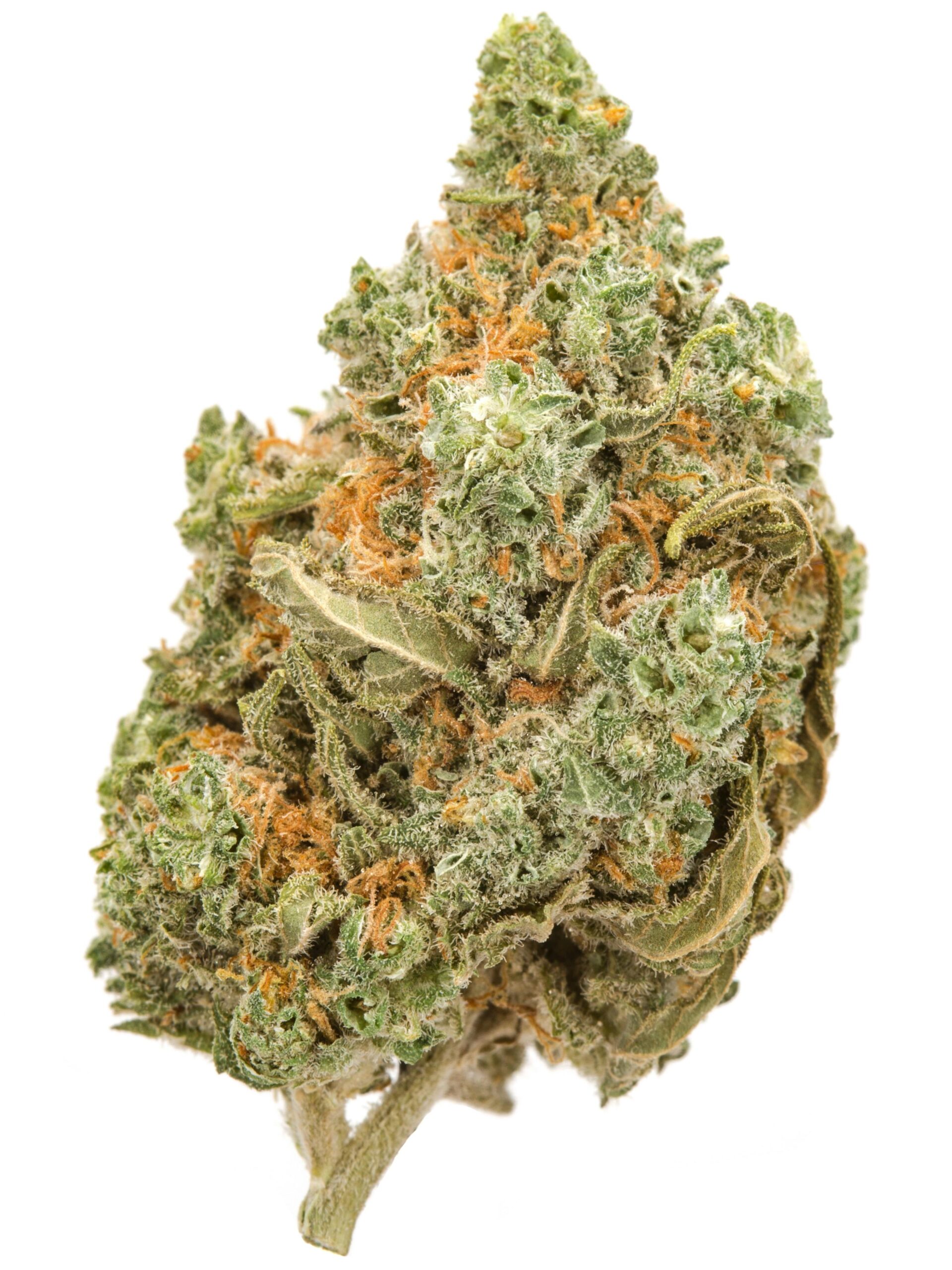 Amnesia Haze