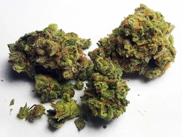 Fuzzies – Blueberry Haze