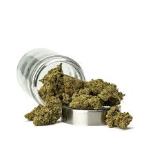 Grapefruit Z by IYKYK