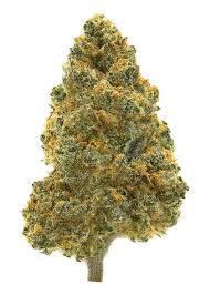 Zangbanger by Wizard Trees