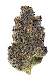 Zzquil by Exotics710