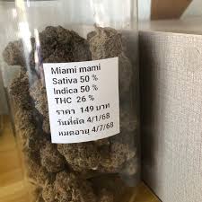Miami Mami