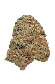 Maui Wowie