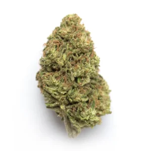 Blueberry Pie