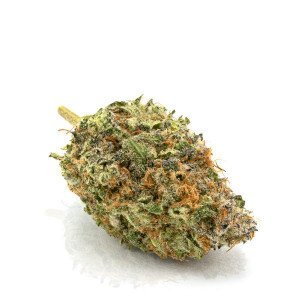 Ghost Train Haze