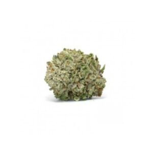Gorilla Glue 4
