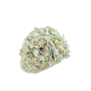 Hindu Kush