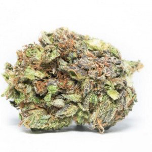 Jet Fuel