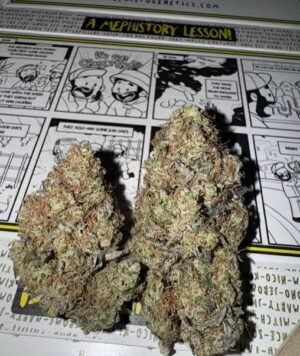 Kalimotxo Strain